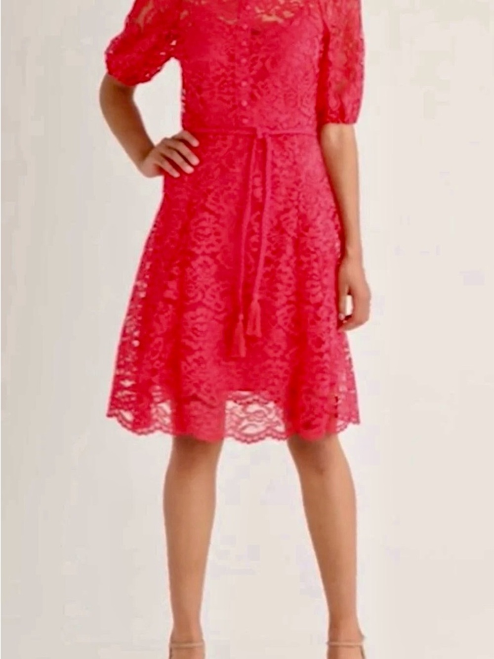 Tahari ASL Scallop Hem Raspberry Lace Fit & Flare Dress Size 10 MSRP $159 NWOT - Picture 2 of 8